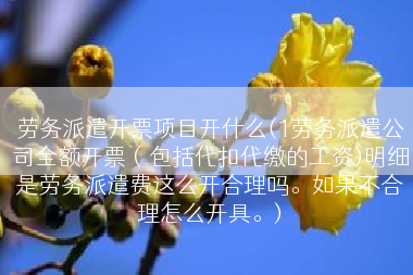 劳务派遣开票项目开什么(1劳务派遣公司全额开票（包括代扣代缴的工资)明细是劳务派遣费这么开合理吗。如果不合理怎么开具。)