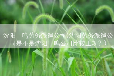 沈阳一鸣劳务派遣公司(沈阳劳务派遣公司是不是沈阳一鸣公司比较正规？)