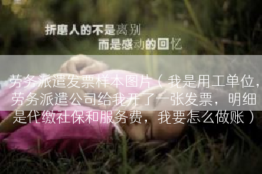 劳务派遣发票样本图片（我是用工单位，劳务派遣公司给我开了一张发票，明细是代缴社保和服务费，我要怎么做账）