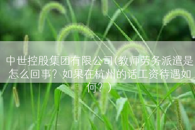 中世控股集团有限公司(教师劳务派遣是怎么回事？如果在杭州的话工资待遇如何？)