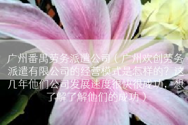 广州番禺劳务派遣公司（广州欢创劳务派遣有限公司的经营模式是怎样的？这几年他们公司发展速度很快很成功，想了解了解他们的成功）