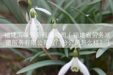 福建海峡劳务派遣公司（福建省劳务派遣服务有限公司厦门分公司怎么样？）