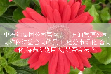 中石油集团公司官网？中石油管道公司,同样依法签合同的员工,还分市场化,合同化,待遇差别巨大,是否合法.？