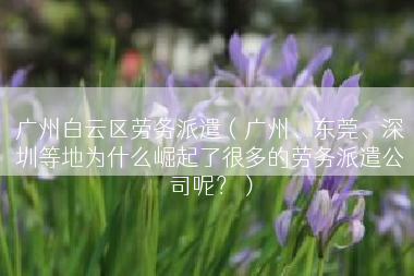 广州白云区劳务派遣（广州、东莞、深圳等地为什么崛起了很多的劳务派遣公司呢？）