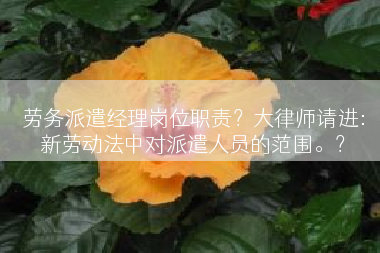 劳务派遣经理岗位职责？大律师请进：新劳动法中对派遣人员的范围。？