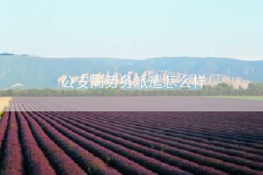 公安局劳务派遣怎么样