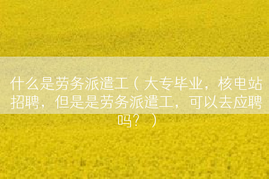 什么是劳务派遣工（大专毕业，核电站招聘，但是是劳务派遣工，可以去应聘吗？）