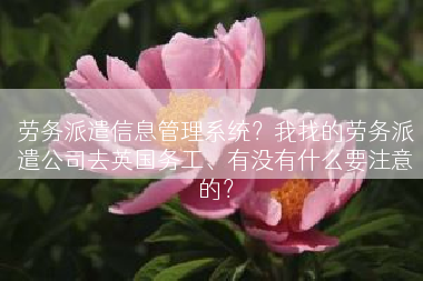 劳务派遣信息管理系统？我找的劳务派遣公司去英国务工、有没有什么要注意的？