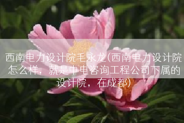 西南电力设计院毛永龙(西南电力设计院怎么样，就是中电咨询工程公司下属的设计院，在成都)