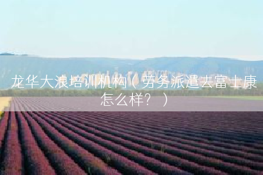 龙华大浪培训机构（劳务派遣去富士康怎么样？）