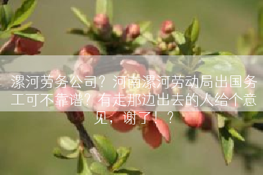漯河劳务公司？河南漯河劳动局出国务工可不靠谱？有走那边出去的人给个意见，谢了！？