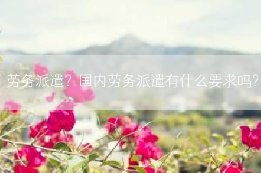 劳务派遣？国内劳务派遣有什么要求吗？
