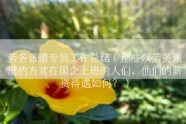 劳务派遣专员工作总结（那些以劳务派遣的方式在国企上班的人们，他们的薪资待遇如何？）