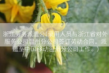 浙江劳务派遣公(录用人员与浙江省对外服务公司温州分公司签订劳动合同，派遣至中国移动温州分公司工作。)