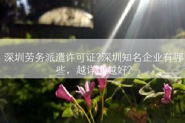 深圳劳务派遣许可证?深圳知名企业有哪些，越详细越好?