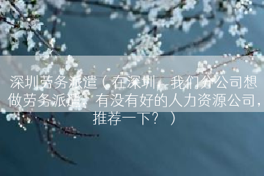 深圳劳务派遣（在深圳，我们分公司想做劳务派遣，有没有好的人力资源公司，推荐一下？）