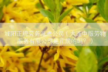 城阳正规劳务派遣公司（大连中服劳物服务有限公司是正规的吗？）