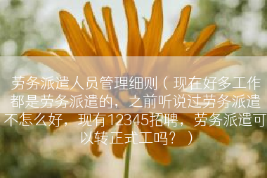劳务派遣人员管理细则（现在好多工作都是劳务派遣的，之前听说过劳务派遣不怎么好，现有12345招聘，劳务派遣可以转正式工吗？）