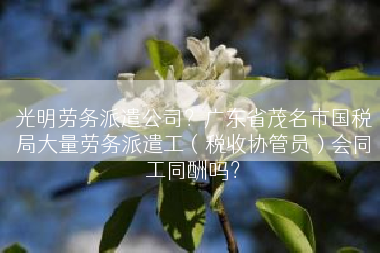 光明劳务派遣公司？广东省茂名市国税局大量劳务派遣工（税收协管员）会同工同酬吗？