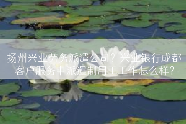 扬州兴业劳务派遣公司？兴业银行成都客户服务中派遣制用工工作怎么样？