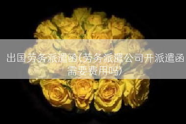 出国劳务派遣函(劳务派遣公司开派遣函需要费用吗)