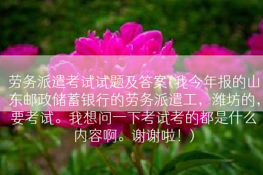劳务派遣考试试题及答案(我今年报的山东邮政储蓄银行的劳务派遣工，潍坊的，要考试。我想问一下考试考的都是什么内容啊。谢谢啦！)