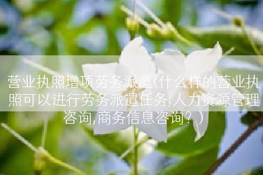 营业执照增项劳务派遣(什么样的营业执照可以进行劳务派遣任务,人力资源管理咨询,商务信息咨询？)