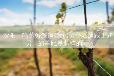 沈阳一鸣劳务派遣公司(劳务派遣跟正式员工的差距是怎样的？)