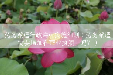 劳务派遣行政许可实施细则（劳务派遣需要增加在营业执照上吗？）