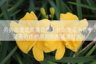劳务派遣是需要资质（什么是劳务协作，劳务协作的原则和形式是什么）