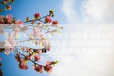 劳务服务派遣方案?我是由劳务派遣公司派遣到市辖县劳动服务就业局的劳动保障协理员，签订的是劳务派遣合同，适用同工同酬吗?