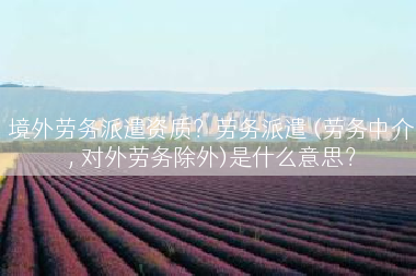 境外劳务派遣资质？劳务派遣 (劳务中介, 对外劳务除外)是什么意思？