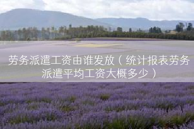 劳务派遣工资由谁发放（统计报表劳务派遣平均工资大概多少）