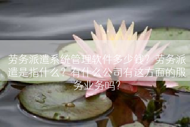 劳务派遣系统管理软件多少钱？劳务派遣是指什么？有什么公司有这方面的服务业务吗？