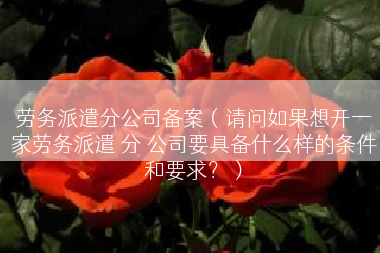 劳务派遣分公司备案（请问如果想开一家劳务派遣 分 公司要具备什么样的条件和要求？）