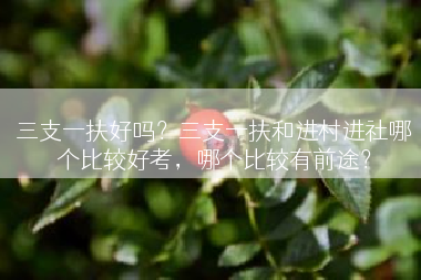 三支一扶好吗？三支一扶和进村进社哪个比较好考，哪个比较有前途？