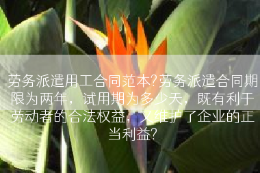 劳务派遣用工合同范本?劳务派遣合同期限为两年，试用期为多少天，既有利于劳动者的合法权益，又维护了企业的正当利益?