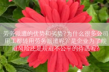 劳务派遣的优势和劣势?为什么很多公司用工都转用劳务派遣呢？是企业为了规避风险还是规避不公平的待遇呢?