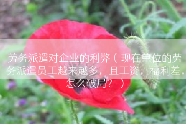 劳务派遣对企业的利弊（现在单位的劳务派遣员工越来越多，且工资，福利差，怎么破局？）