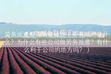 劳务派遣服务质量标准（劳务派遣是什么？为什么有些公司做劳务派遣？有什么利于公司的地方吗？）