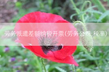 劳务派遣差额纳税开票(劳务公司:税率)