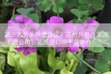 第三方劳务派遣协议？苏州共有几家派遣公司？是派遣公司不是中介！？