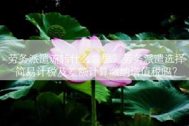 劳务派遣流转什么意思？劳务派遣选择简易计税及差额计算缴纳增值税吗？