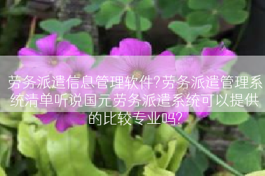 劳务派遣信息管理软件?劳务派遣管理系统清单听说国元劳务派遣系统可以提供的比较专业吗?