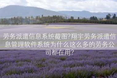 劳务派遣信息系统截图?翔宇劳务派遣信息管理软件系统为什么这么多的劳务公司都在用?