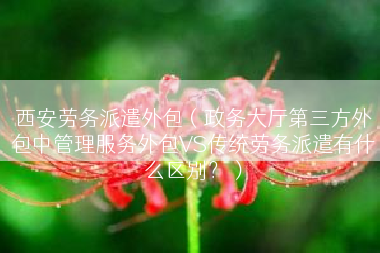 西安劳务派遣外包（政务大厅第三方外包中管理服务外包VS传统劳务派遣有什么区别？）