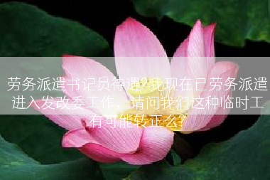 劳务派遣书记员待遇?我现在已劳务派遣进入发改委工作，请问我们这种临时工有可能转正么?