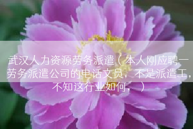 武汉人力资源劳务派遣（本人刚应聘一劳务派遣公司的电话文员，不是派遣工，不知这行业如何，）