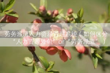 劳务派遣人力资源管理系统（如何区分“人力资源外包”or“劳务派遣”）