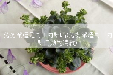 劳务派遣是同工同酬吗(劳务派遣同工同酬问题的请教)